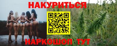крисы Вышний Волочёк