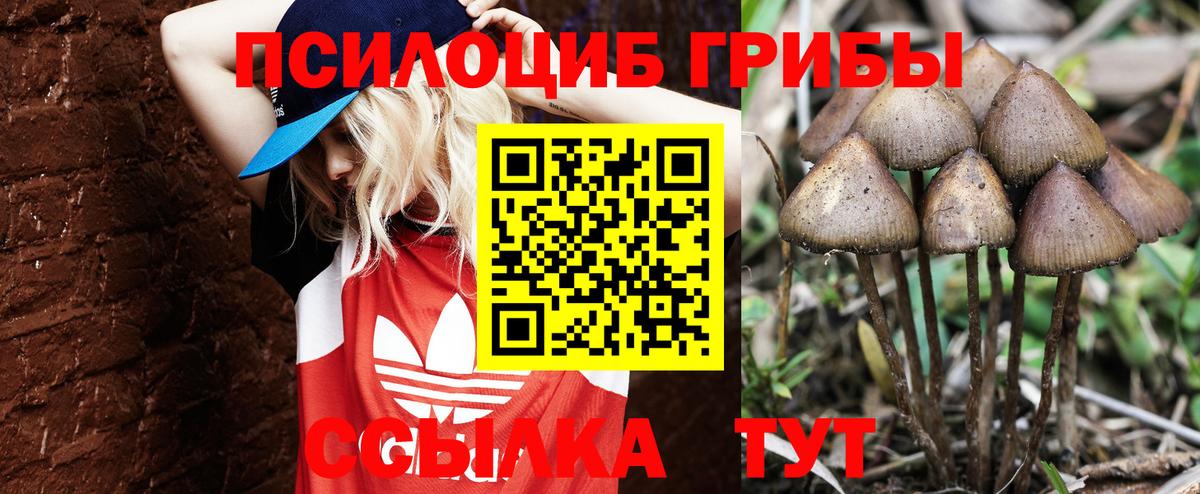 Краснокаменск  Псилоцибиновые грибы Psilocybe  Псилоцибиновые грибы Magic Shrooms  Вход с VPN 